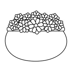 floral decoration in ceramic pot