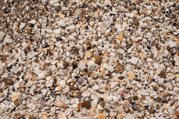 sea ​​sand in the summer on the beach