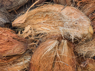 Coconut fibrous shell background, India, Kerala, Kochi