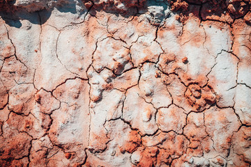 Dry cracked clay soil surface