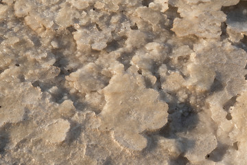 Close up of salt of the salt plains of Asale Lake in the Danakil Depression in Ethiopia, Africa