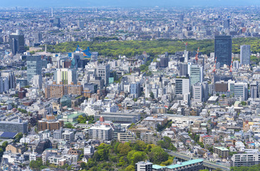 東京風景　2019　春　新緑　青空　六本木から望む原宿　代々木公園方面