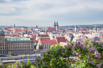 Fototapeta na wymiar City Prague, Czech Republic. Old buildings and street view. Vltava river. Travel photo 2019