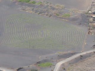 paysage volcanique de Lanzarote