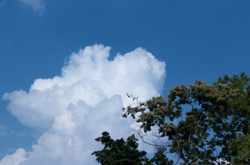 blue sky and clouds