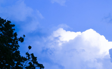 blue sky and clouds