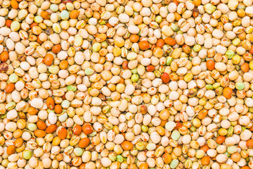 close up of dried kidney beans.