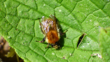 LD Kermoroch P1040180