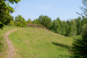 Fototapeta na wymiar blick auf einen grünen hügel in geeste emsland deutschland fotografiert während eines spaziergangs in der natur an einem sonnigen tag