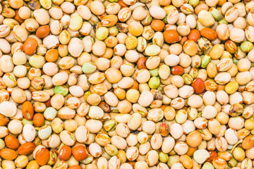 close up of beautiful,colorful dried kidney beans  on a table.