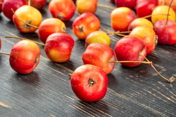 Fruit paradise apple