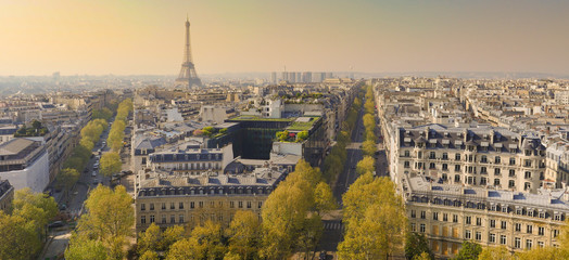 Paris, Eiffel tower, Aerial view, France