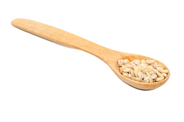 Pearl barley in spoon