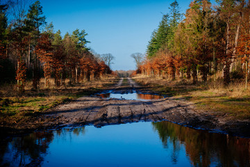 autumn landscape with lake and trees
