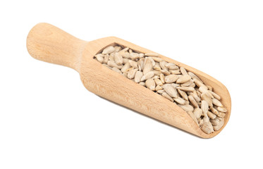Sunflower seeds in scoop