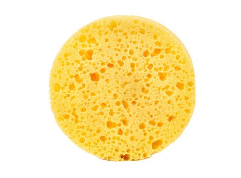 Yellow round sponge