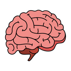 brain human organ icon