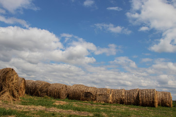 Hay rolls ready to transport in the fields of Serbia ("Vojvodina" region), village Melenci in Northern Serbia, 29. May 2019