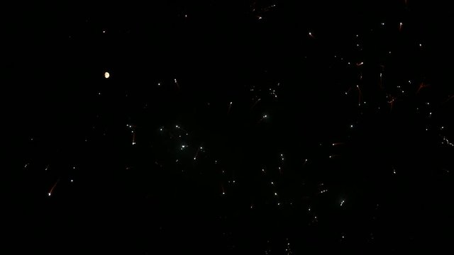 Dazzling fireworks are radiating the night skyline