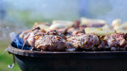 Barbeque meat with onion circles on charcoal grill outdoors in a garden, smoke, close up view
