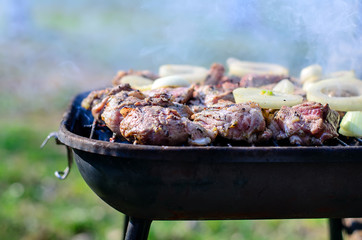 Barbeque meat with onion circles on charcoal grill outdoors in a garden, smoke, close up view