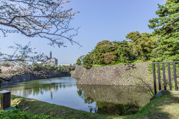  	春の江戸城の乾濠の風景