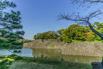  	春の江戸城の乾濠の風景