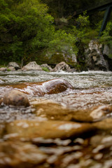 Fototapeta na wymiar corriente de río y rocas obstaculizando el paso