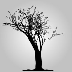 Tree icon. Forest symbol. Flat web sign on white background. Vector eps 10