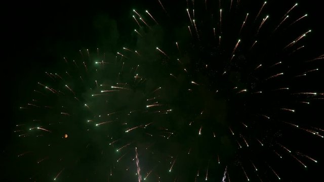 Fireworks exploding in the dark night sky during a celebration