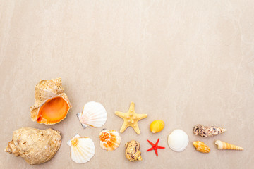 Seashells summer background. Lots of different seashells piled together, copy space, top view.