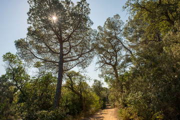 Obraz premium Road to the Moorish cove in Tossa de Mar