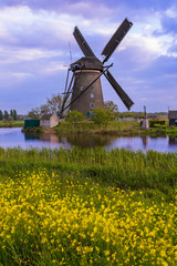 Fototapeta premium Windmills in Kinderdijk - Netherlands