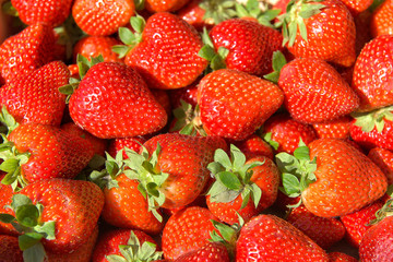 Freshly harvested strawberries, directly above