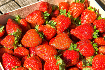 Freshly harvested strawberries, directly above