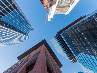 Frankfurt city with skyline from below