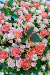 Beautiful fresh red and pink roses. beautiful bouquet of roses. vertical photo