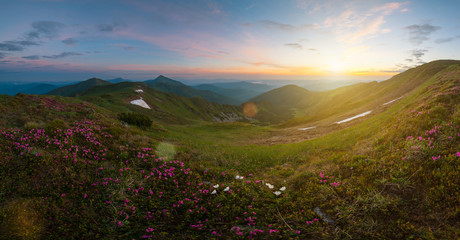 Fototapeta na wymiar Majestic sunrise in summer mountains