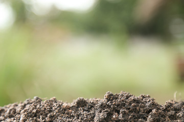 Soil texture with green background for template design