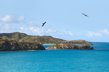 Fototapeta na wymiar Entrance to Port of Antigua and Frigate Birds. View from a cruise ship.