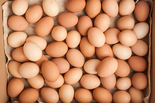 Many brown eggs in box. Chicken farm. Place for text. Preparation for Easter.