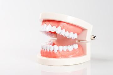 Dental concept healthy equipment tools dental care