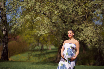 Young traveler pregnant woman walking, running, turning around and enjoys her leisure free time in a park with blossoming sakura cherry trees wearing a summer light long dress with flower pattern