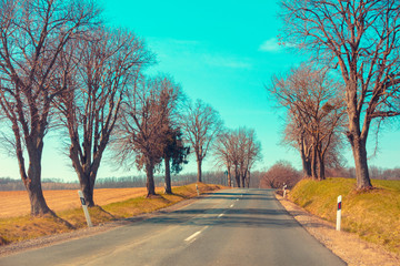 Naklejka premium Asphalt country road in early spring