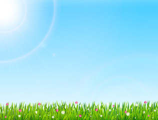 Fototapeta na wymiar Spring or summer nature background with green grass and flowers. Vector illustration