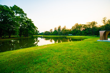 Green park sunset colorful sky silhouette tree