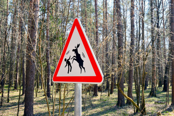 Sign about of wild moose on a forest road.