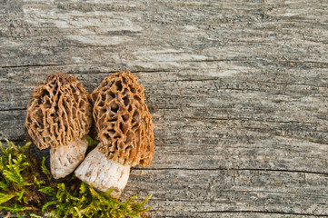 Edible spring mushrooms (Morchella esculenta) on an old wooden table