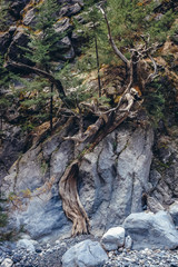 Rocks in Samaria Gorge National Park of Greece on Crete island