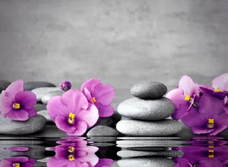 Peel and stick wall murals Bathroom Pink flower and stone zen spa on grey background